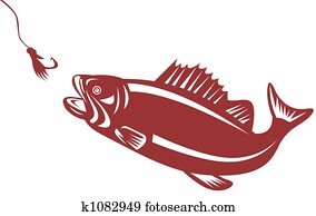 Bass attracted to a lure Bass attracted to a lure