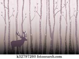 Birch tree forest, vector Birch tree forest, vector