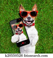 funny selfie dog funny selfie dog