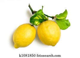 natural lemons natural lemons