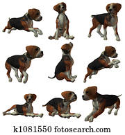 Puppy Hound Puppy Hound