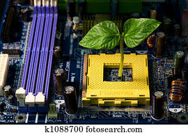 Sprout in computer Sprout in computer