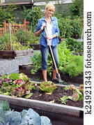 Woman vegetable garden Woman vegetable garden