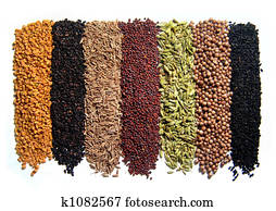 הודי, תבלנים