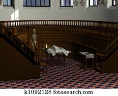 Anatomy Theatre Anatomy Theatre