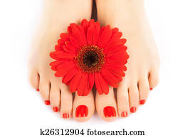 beautiful red manicured nails with gerbera beautiful red manicured nails with gerbera