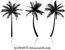 palm trees palm trees