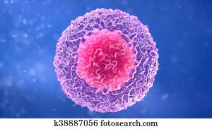 T-lymphocyte. white blood cell. Lymphocyte T-lymphocyte. white blood cell. Lymphocyte