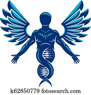 vector, illustratie, van, sterke, mannelijke, gemaakt, als, dna, symbool, voortzetting, en, gecreëerde, met, vogel, wings., biotechniek, en, moleculair, genetics.