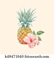 Watercolor vector pineapple fruit Watercolor vector pineapple fruit
