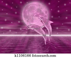 イルカ スケッチ K Fotosearch