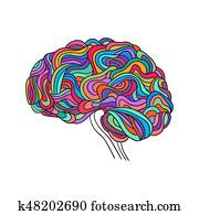 human brain, vector human brain, vector