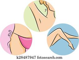 leány, borotválkozás, terület, alapismeretek