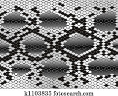 Snake skin Snake skin