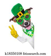 st patricks day dog st patricks day dog