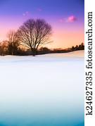 Winterscape Winterscape