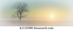 Misty Sunrise Misty Sunrise
