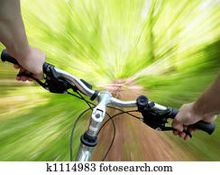 Mountain biking in the forest