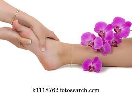 Reflexology Reflexology
