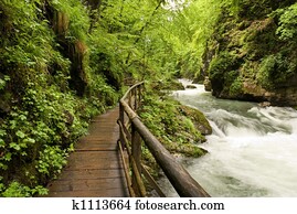 river river