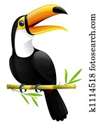 Toucan Toucan