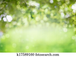 fresco, saudável, verde, bio, fundo