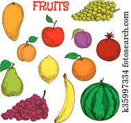 Ripe and fresh fruits colorful sketch symbol Ripe and fresh fruits colorful sketch symbol