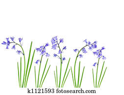 Spring Bluebells Spring Bluebells