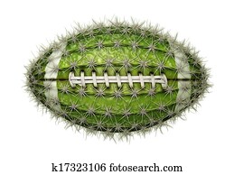 קקטוס, כדורגל