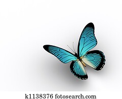 Butterfly 3 Butterfly 3