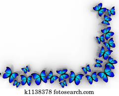 Butterfly border Butterfly border