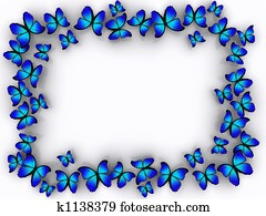 Butterfly border Butterfly border