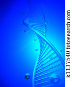 DNA 4 DNA 4