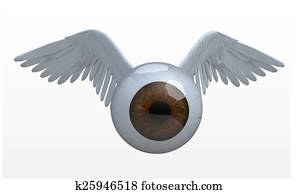 eye with wings that fly eye with wings that fly