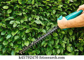 Gardening Gardening