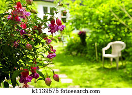 Home and garden Home and garden