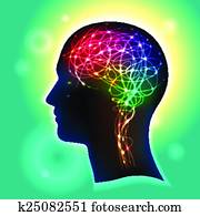 Neurons in the Brain Neurons in the Brain