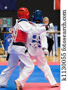 Taekwondo Taekwondo