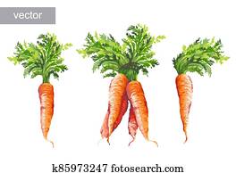 Vegetable set. Pepper, beetroot, tomato, eggplant, blob. Harvest and Thanksgiving fruit of nature, food collection for restaurants, menus, posters and grocery bags. Graphics and color