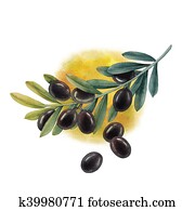 Watercolor black olive branch Watercolor black olive branch
