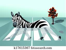 Pictures of Zebra crossing 1774618 - Search Stock Photos 