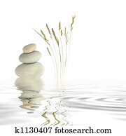Zen Peace Zen Peace