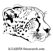 Cheetah Cheetah