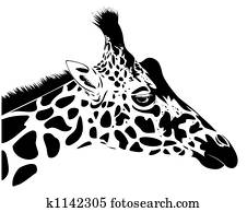 Giraffe Giraffe