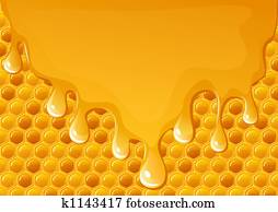 Honey background Honey background