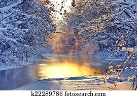 Winter landscape Winter landscape