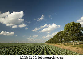 agricultura