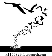 birds flying birds flying