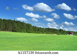 little house in grass field