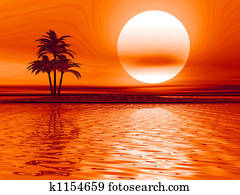 Palm tree landscape Palm tree landscape